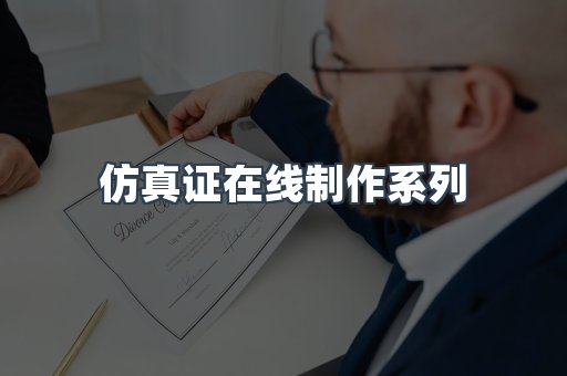 仿真证在线制作